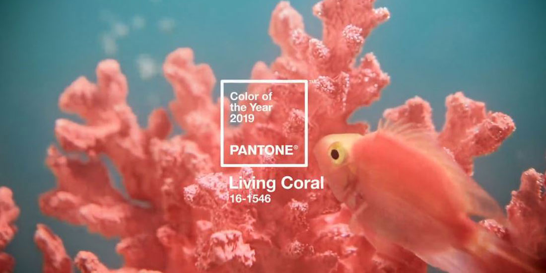 2019 ist korallenrot